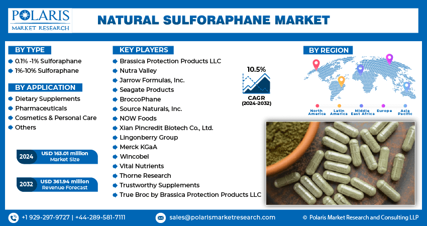 Natural Sulforaphane Market Share